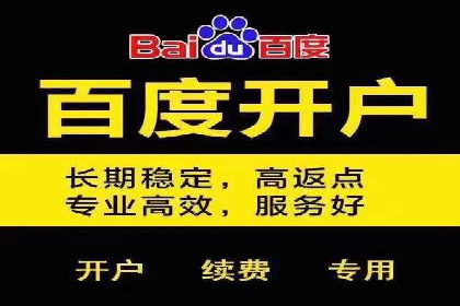SEM广告案例：精准投放实现业绩增长